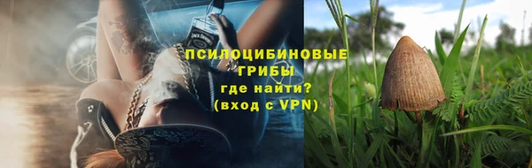 ПСИЛОЦИБИНОВЫЕ ГРИБЫ Аркадак