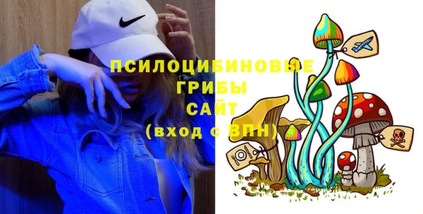 ПСИЛОЦИБИНОВЫЕ ГРИБЫ Аркадак
