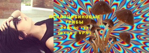 ПСИЛОЦИБИНОВЫЕ ГРИБЫ Аркадак