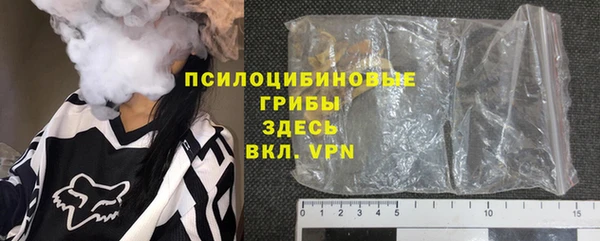 ПСИЛОЦИБИНОВЫЕ ГРИБЫ Аркадак