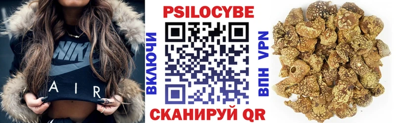 Купить закладки  Урень  Псилоцибиновые грибы Cubensis 